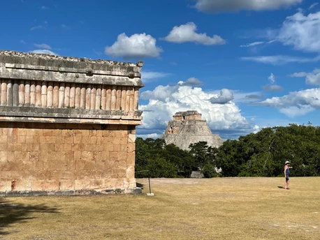 Hire Those Maya Contractors