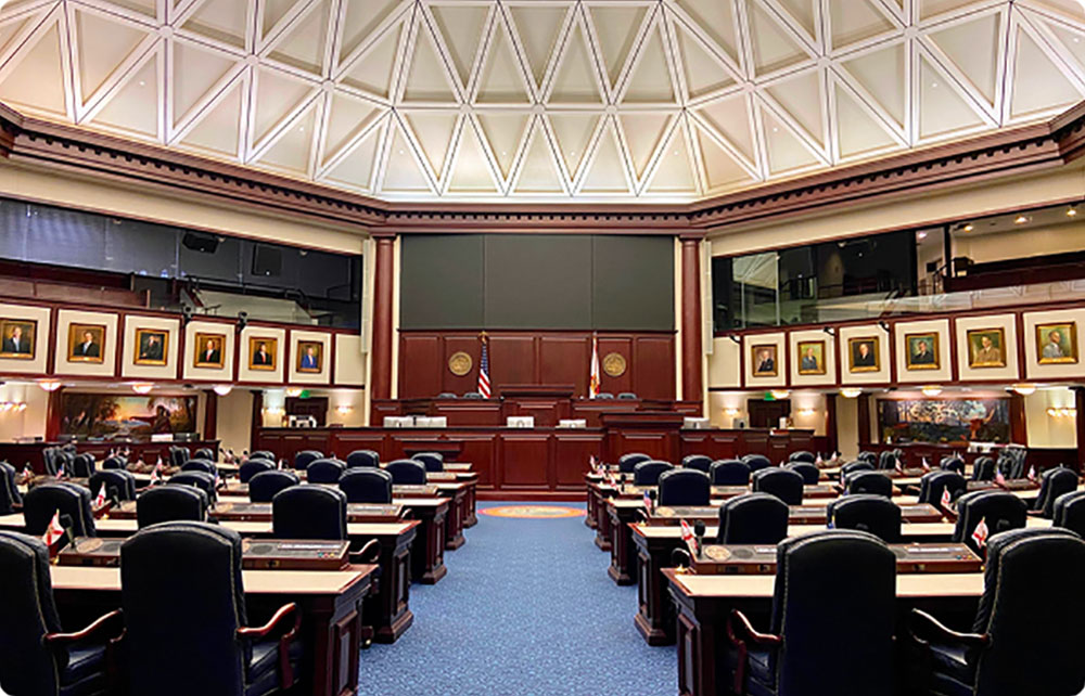 Government_Image_Floor